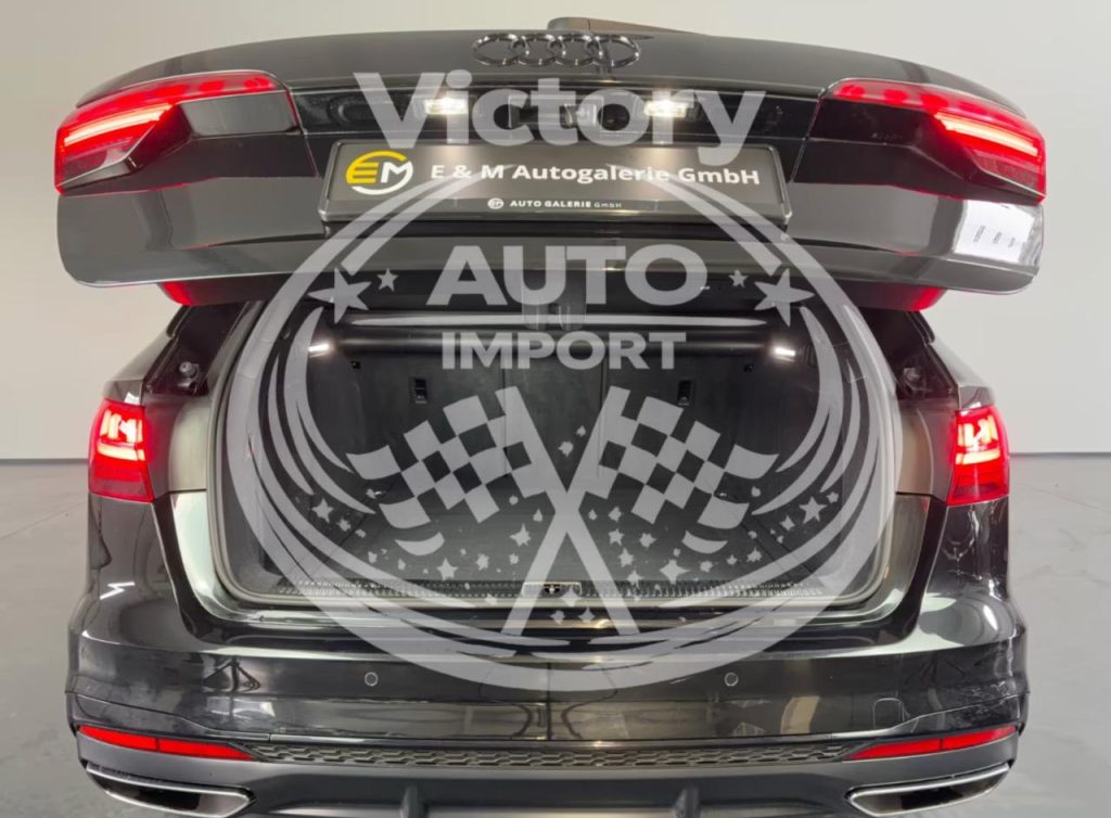 photo_2_2026-02-20_11-52-52