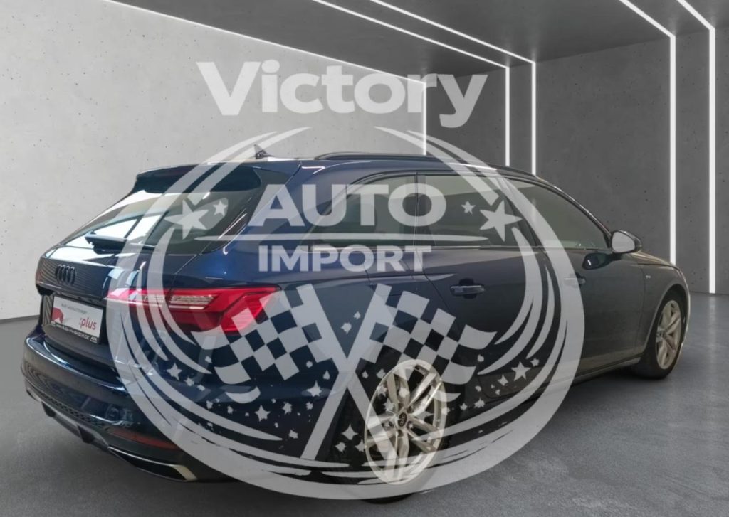 photo_3_2026-02-17_15-03-11