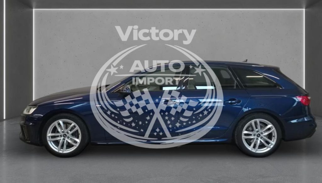 photo_5_2026-02-17_15-03-11