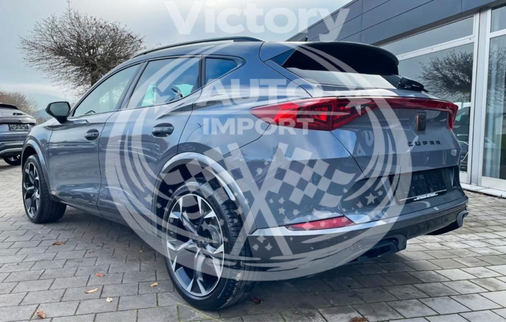 photo_5_2026-02-20_12-06-01