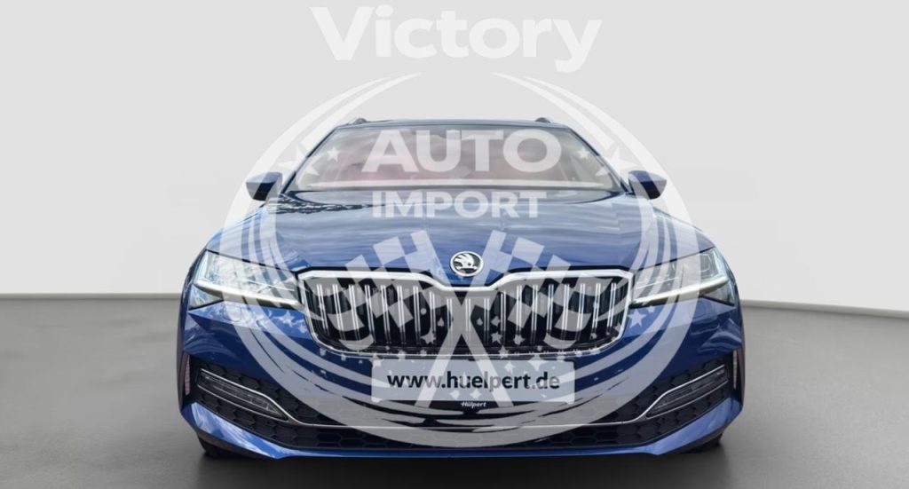 photo_7_2026-02-17_15-04-18